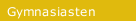 Gymnasiasten