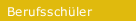 Berufsschüler